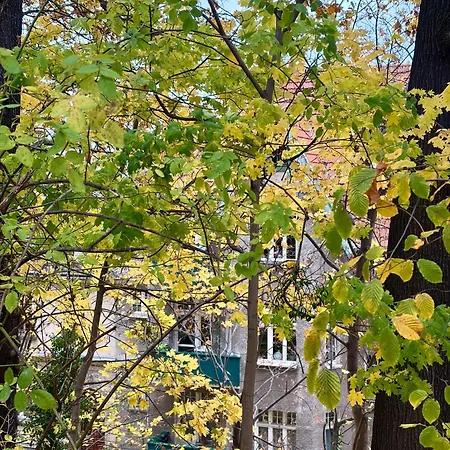 Kamienica Winieckiego Apartman *