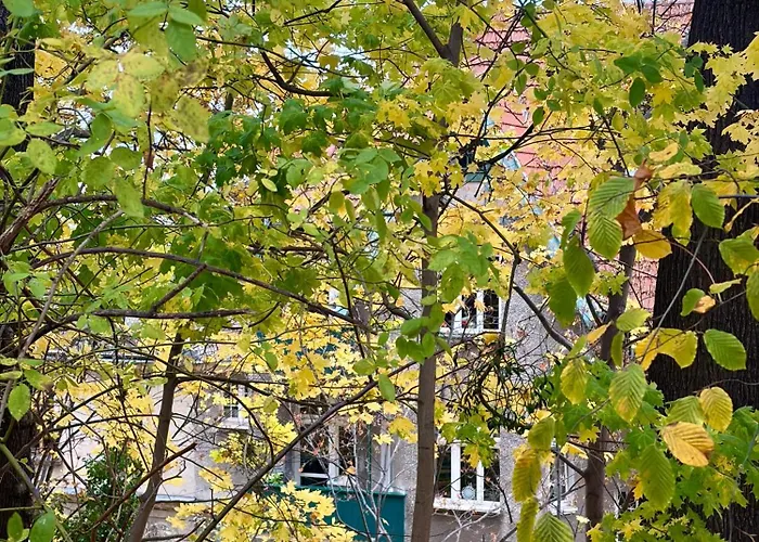 Kamienica Winieckiego Apartment *